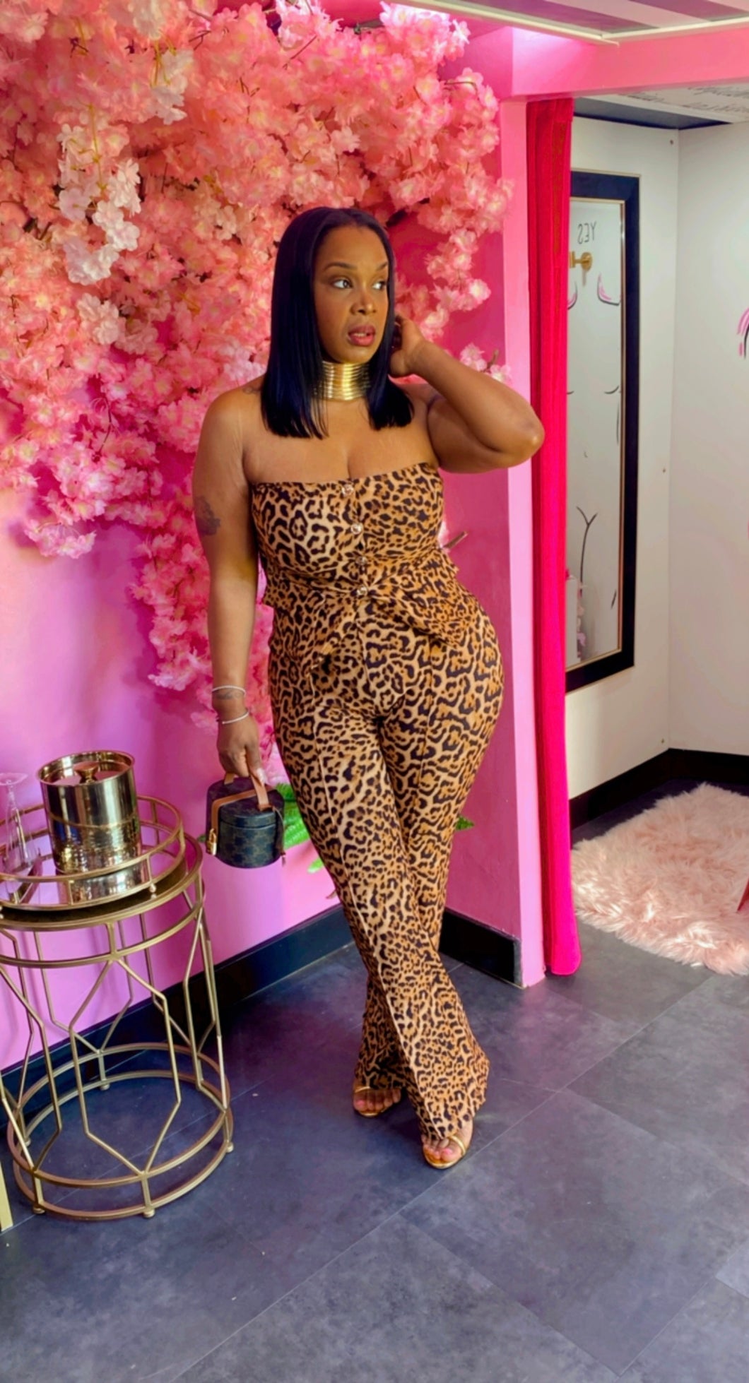 Bad Kitty Set